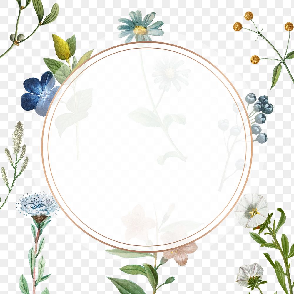 Vintage flower gold frame png hand drawn botanical illustration