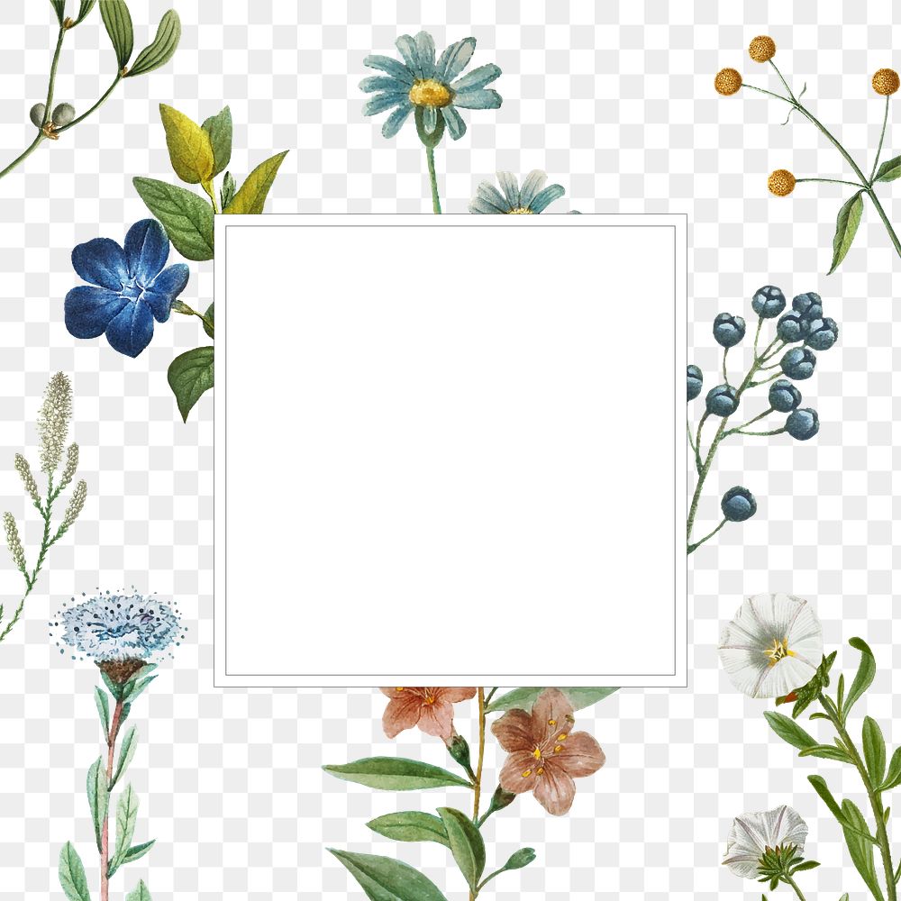 Png floral transparent botanical background with white banner
