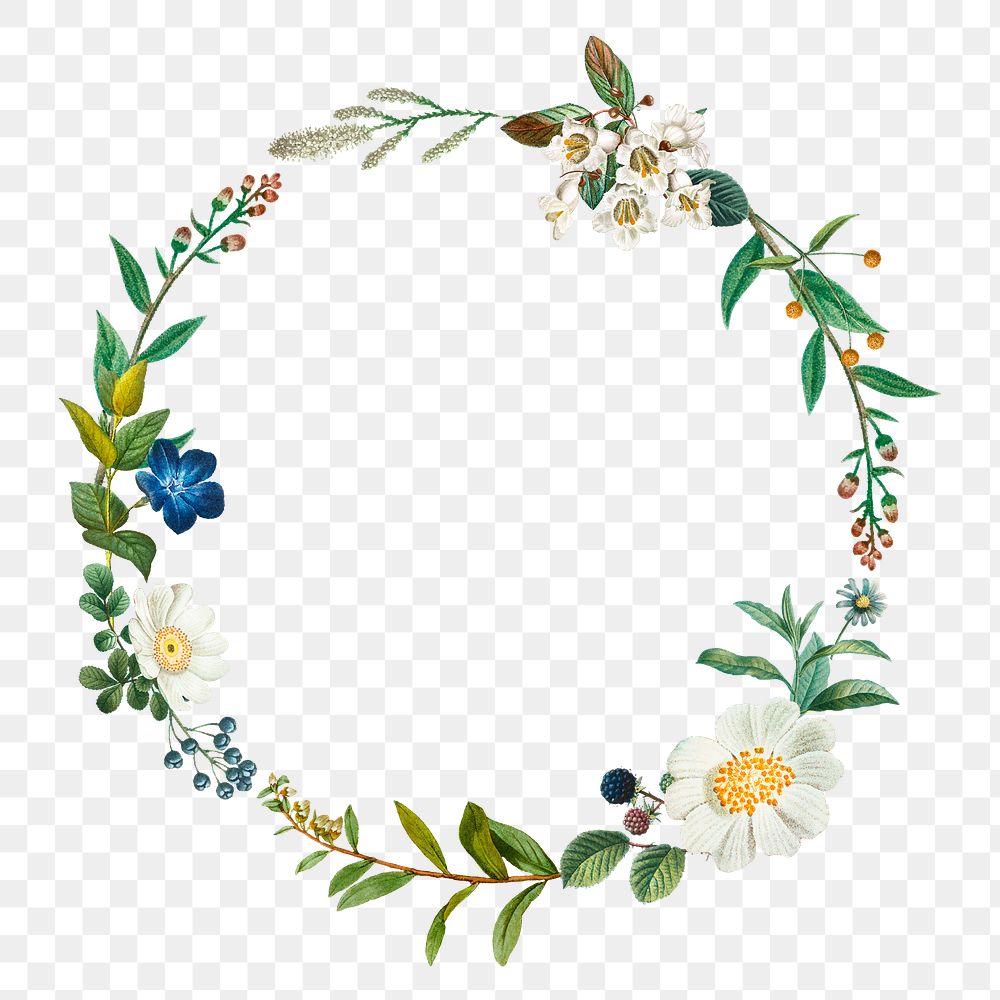 Botanical wreath png frame sticker hand drawn illustration