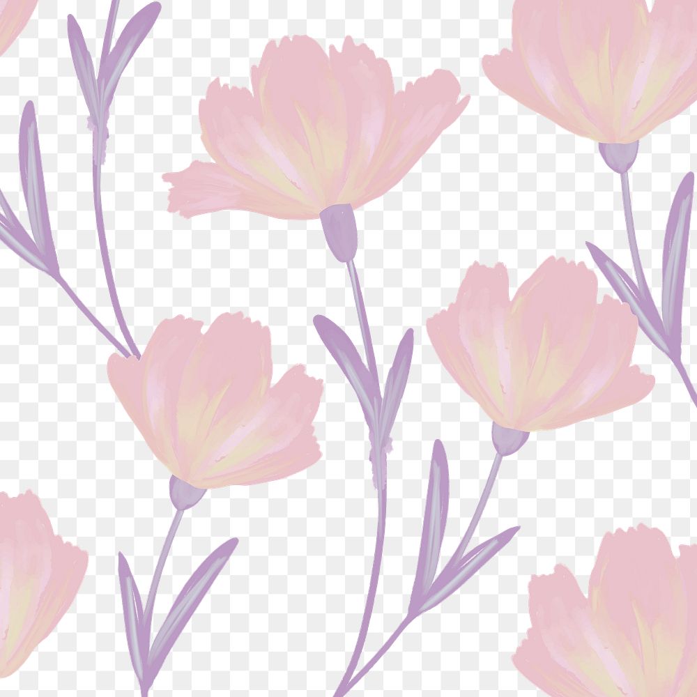Hand drawn cosmos flower pattern transparent png