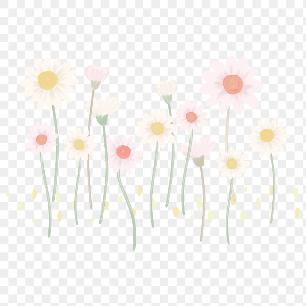 Hand drawn daisy pattern transparent png
