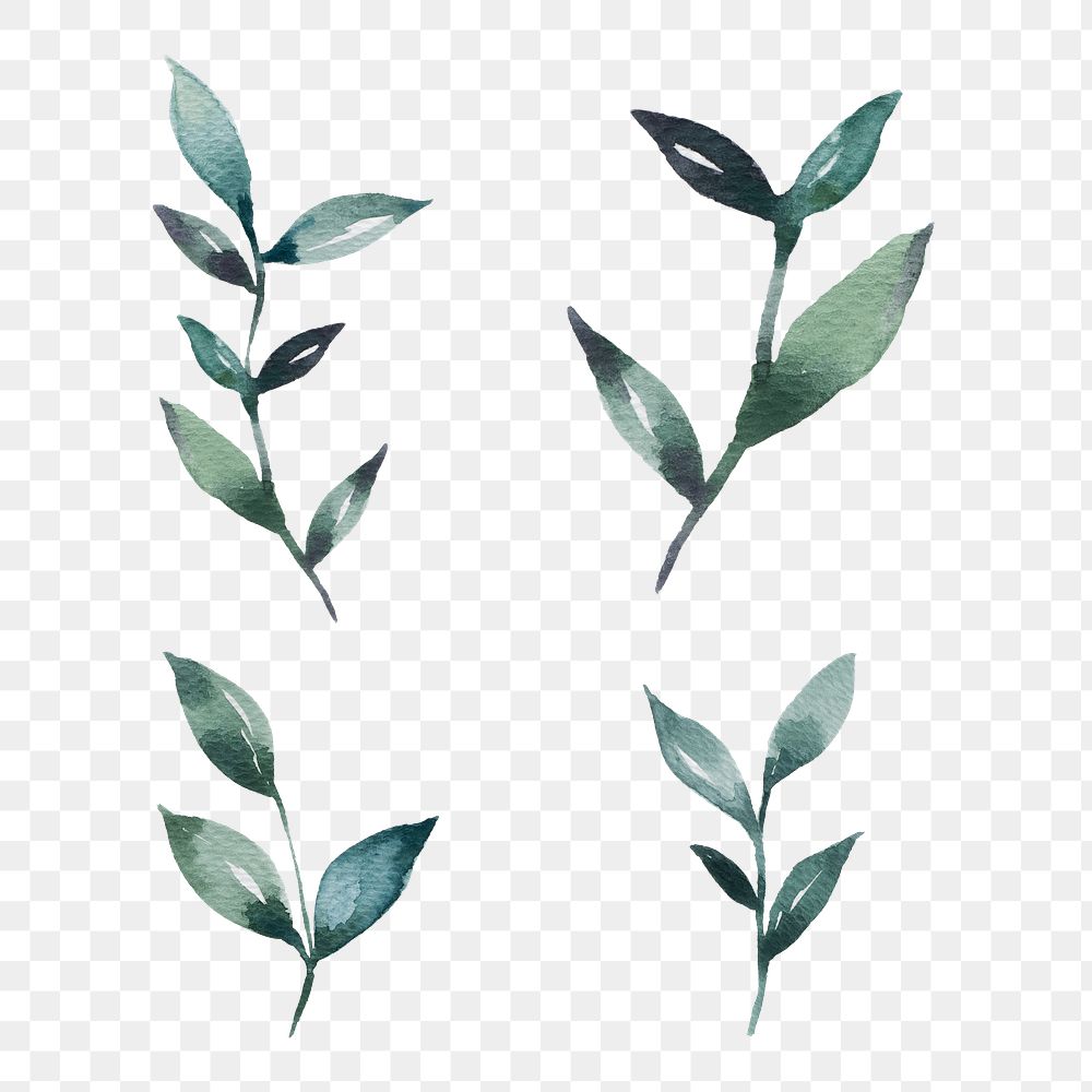 Hand painted watercolor leaves transparent png set