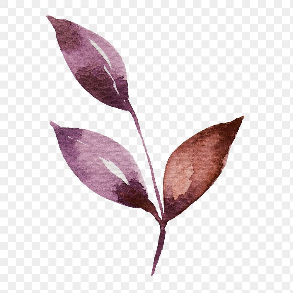 Hand painted purple watercolor leaf transparent png