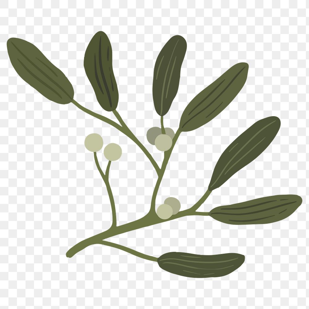 Botany mistletoe plant social ads template transparent png