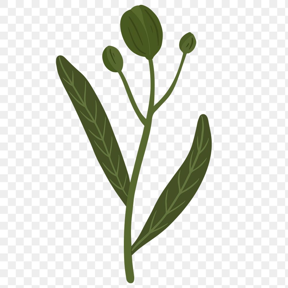 Green leaf bud social ads template transparent png
