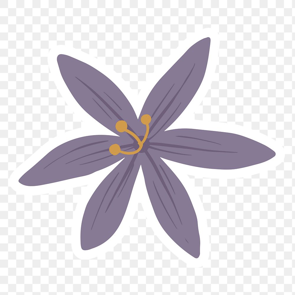 Blooming purple crocus flower transparent png