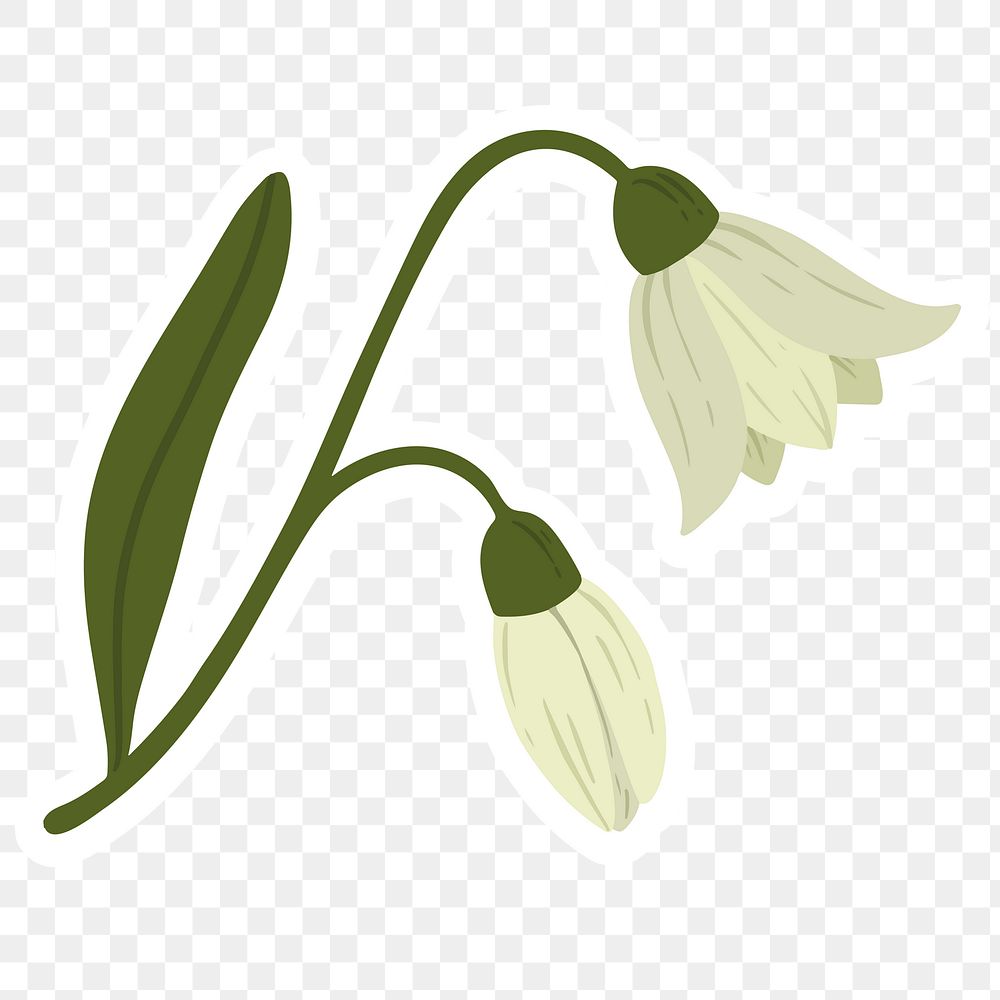 Blooming snowdrop flower element transparent png