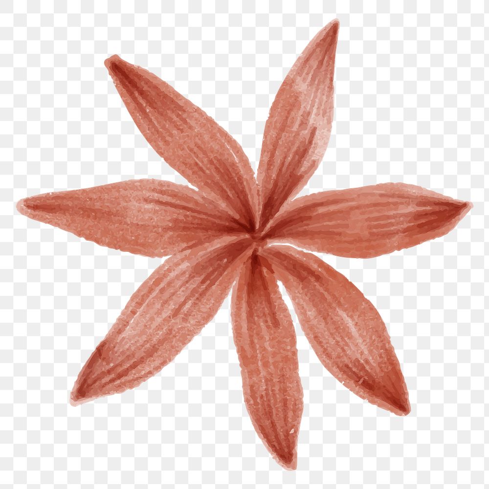 Hand drawn red flower transparent png