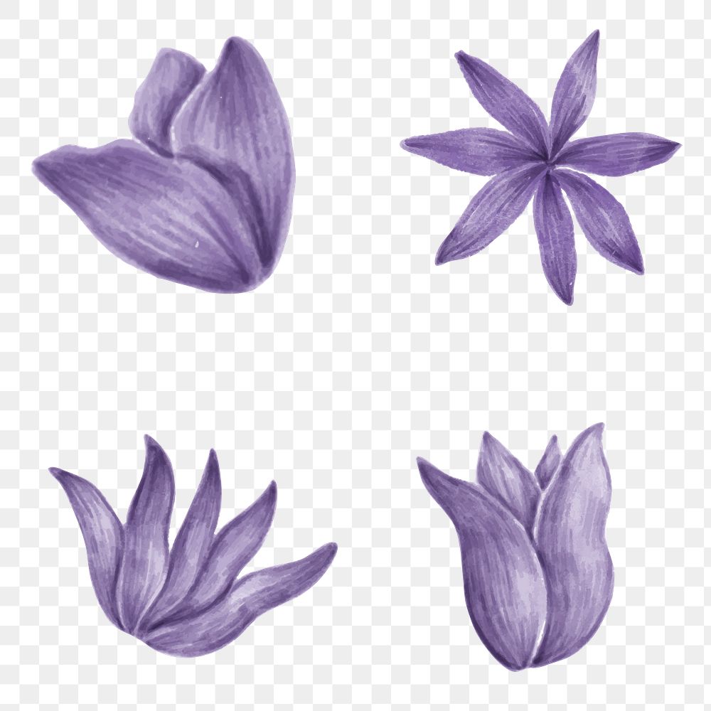 Hand drawn purple flower set transparent png