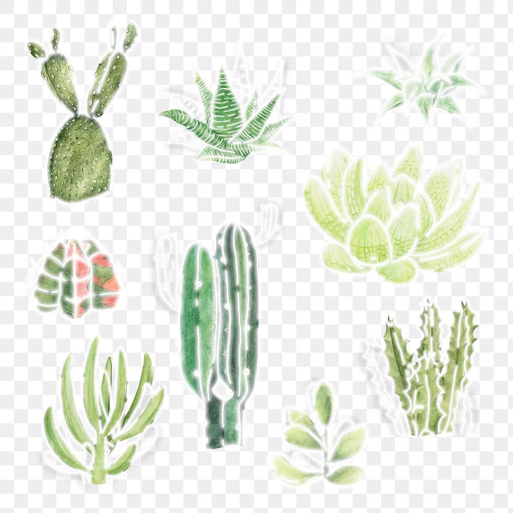 Green neon cactus collection social ads template transparent png
