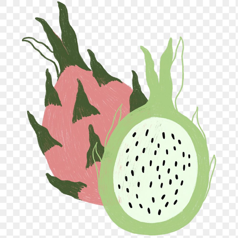Hand drawn dragon fruit design resource transparent png