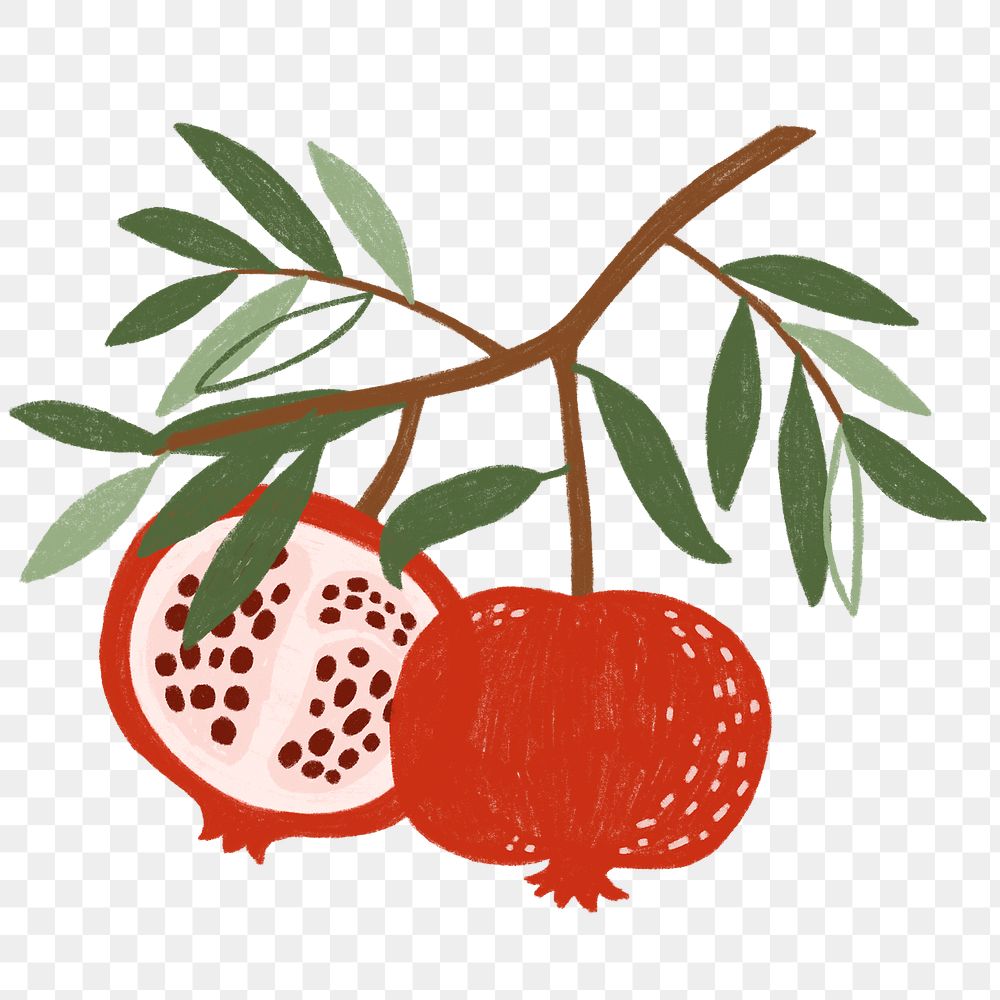 Hand drawn pomegranate design resource transparent png