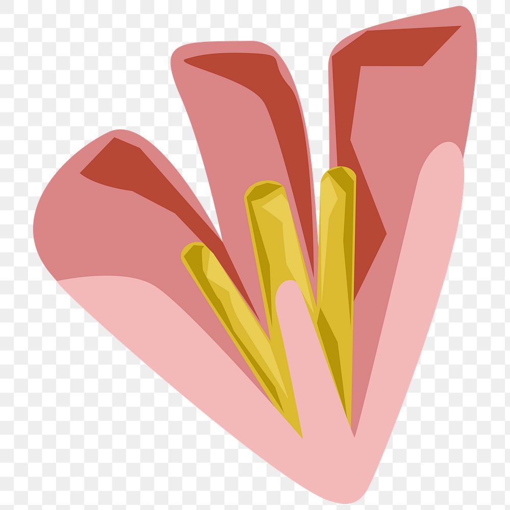 Pink flower with yellow pollens element transparent png