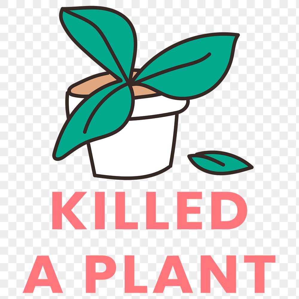 Killed a plant, self quarantine activity design element