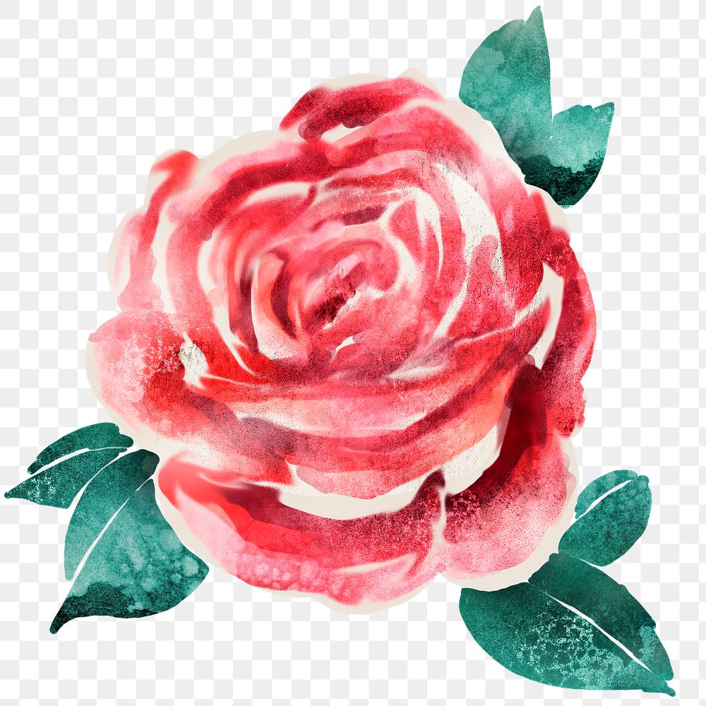 Watercolor red rose flower sticker overlay design element 