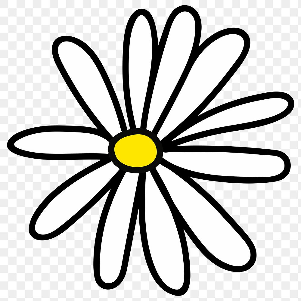 White daisy flower design element