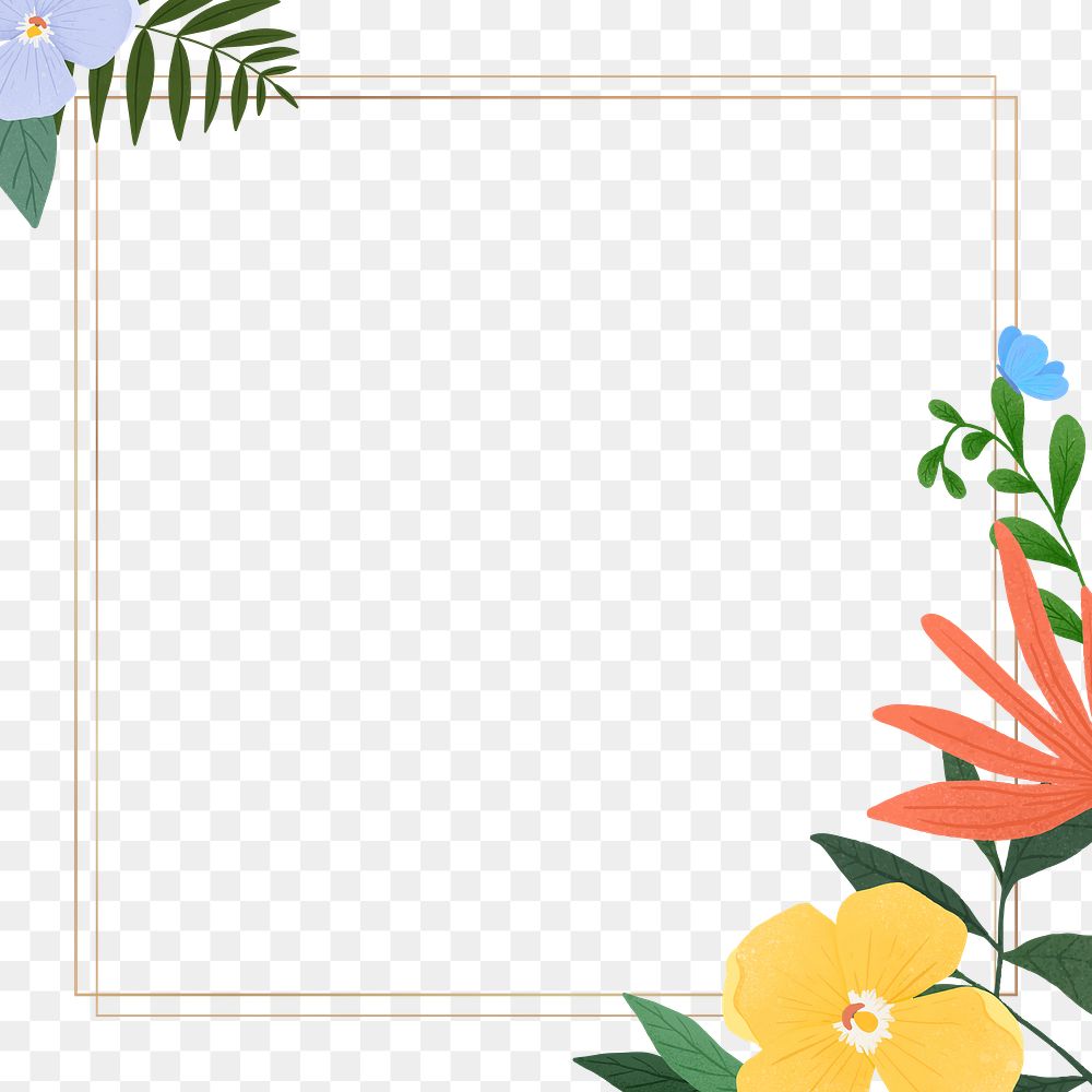 Square floral frame design png