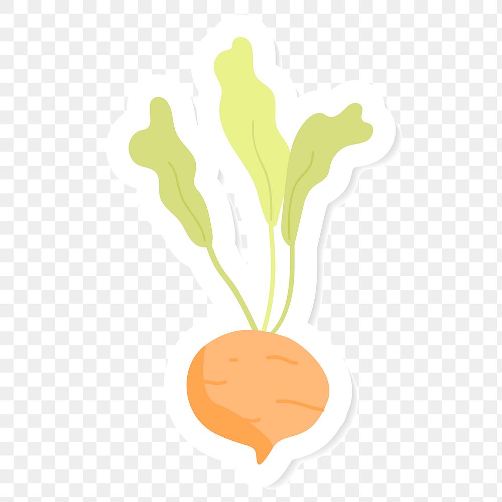 Fresh orange beet sticker transparent png