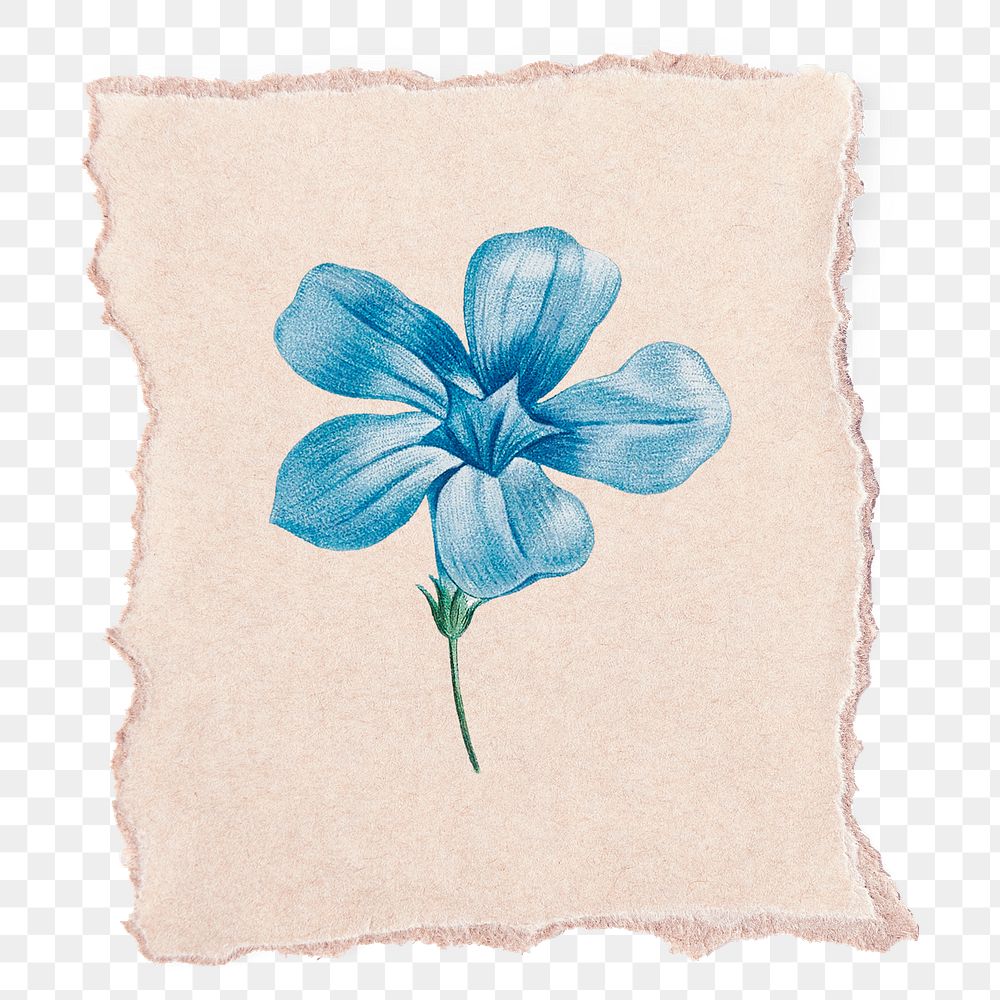 Cute hand drawn indigo blue flower transparent png