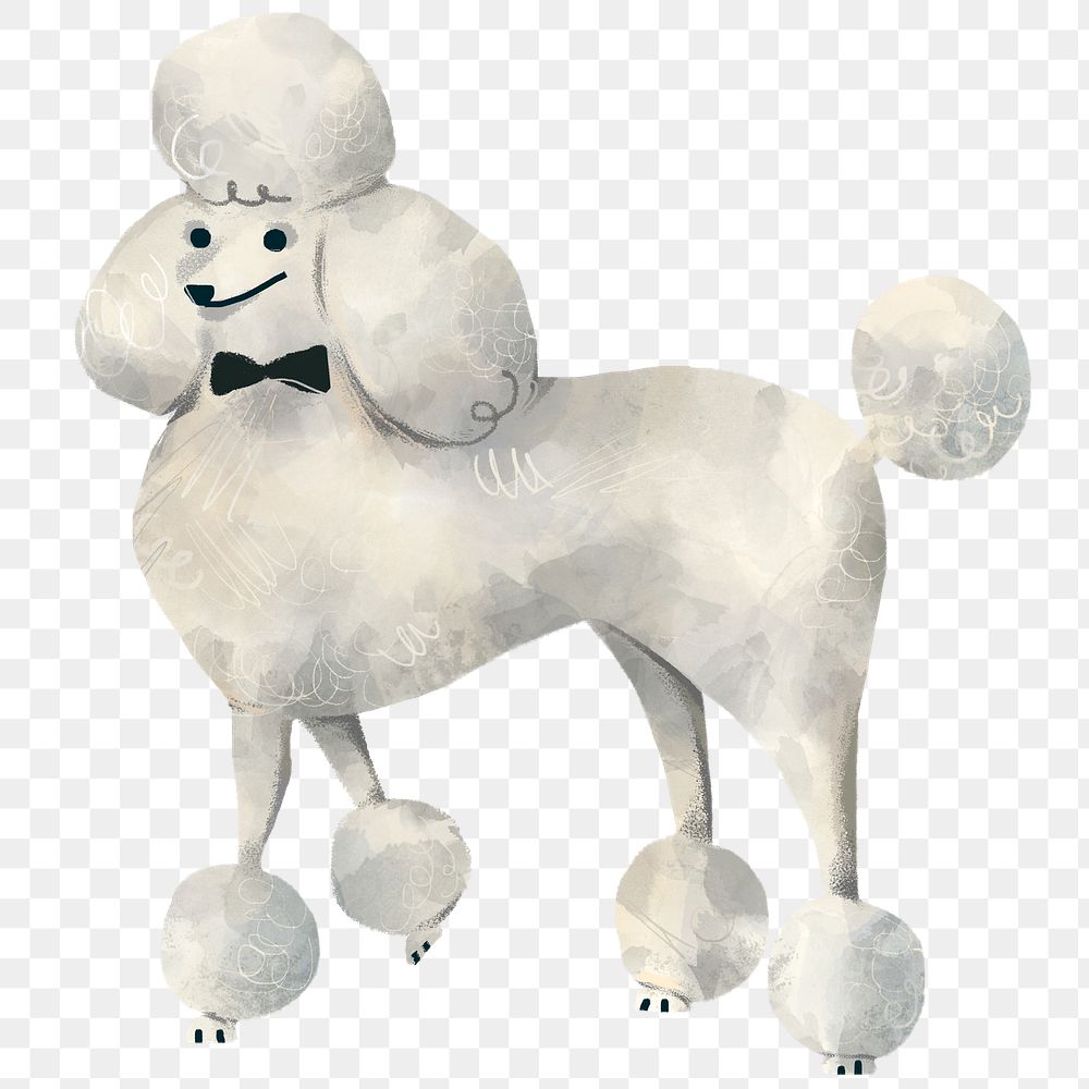 Standard poodle dog standing transparent png