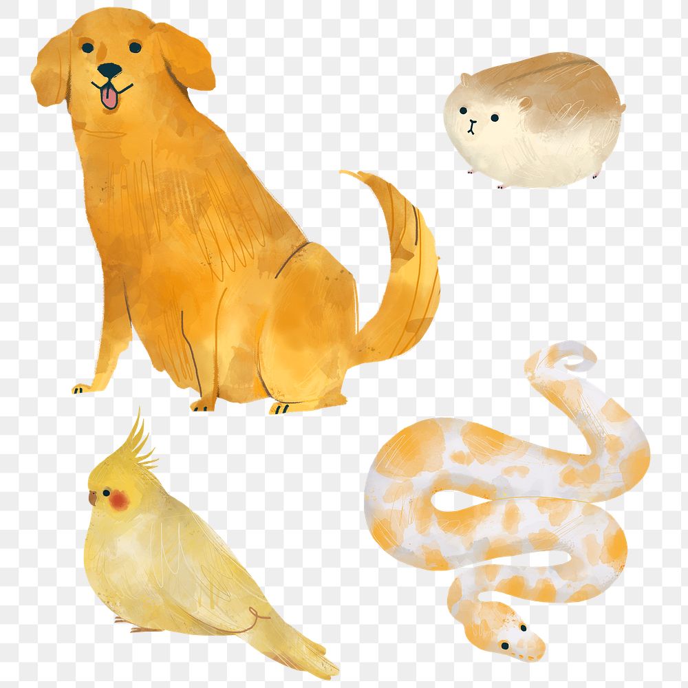Domestic animals on a beige background transparent png