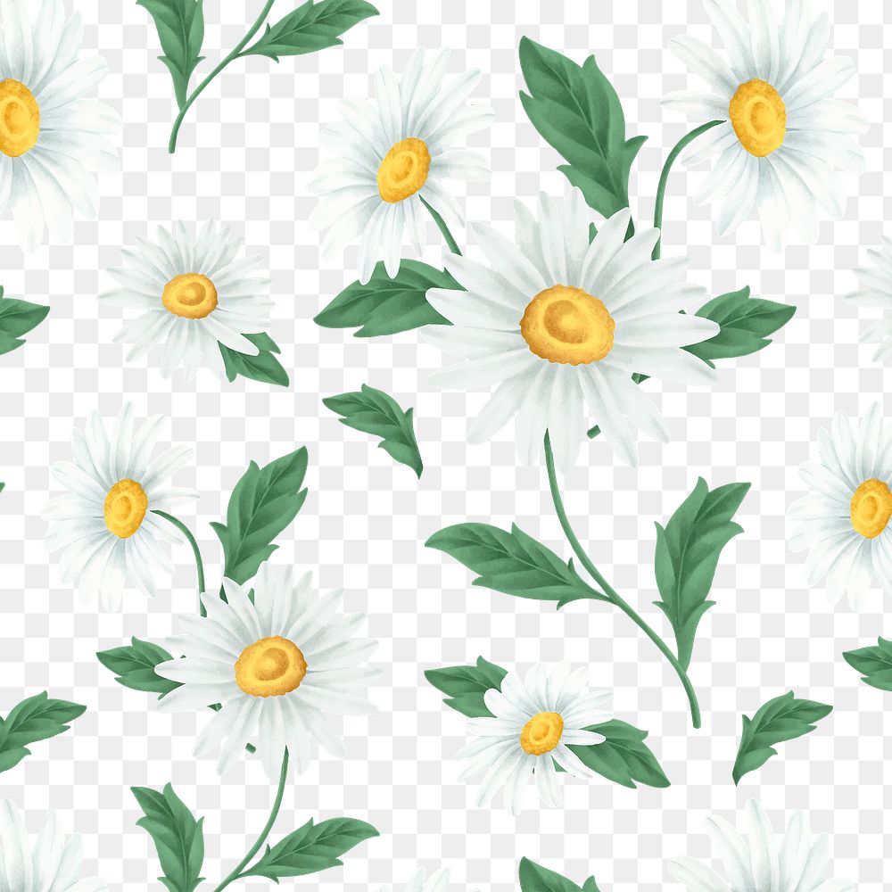 White daisy flower patterned background  transparent png