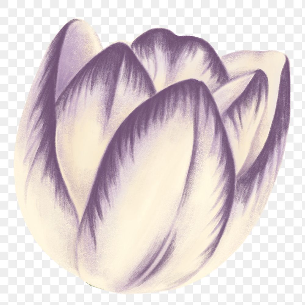 Vintage tulip flower transparent png