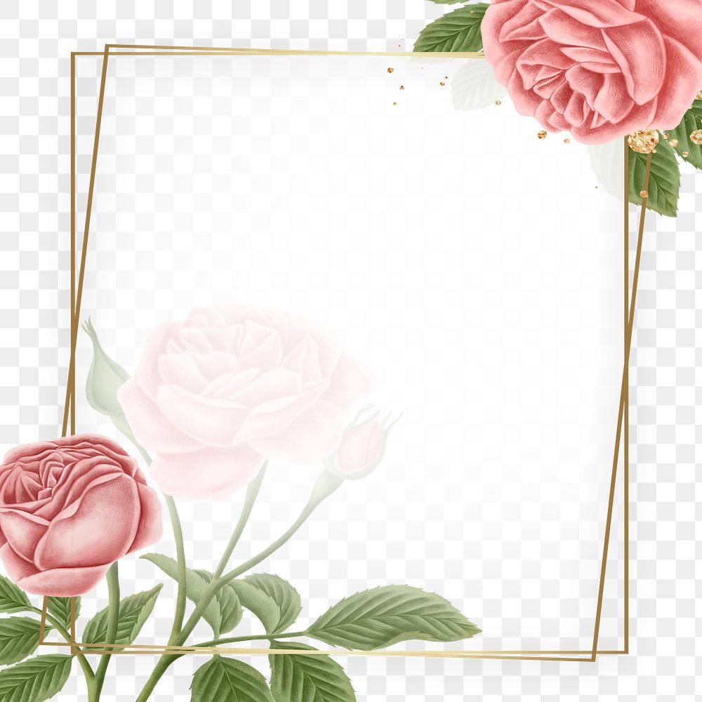 Red rose frame transparent png