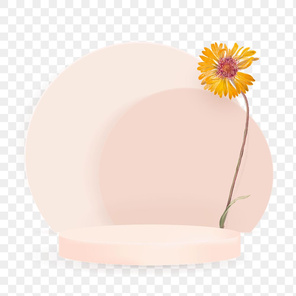 Png 3D simple product display podium with yellow daisy