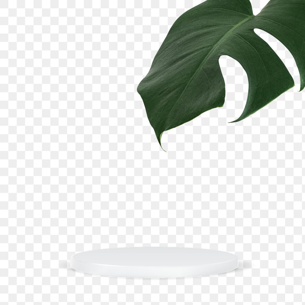 Png 3D simple product display podium with monstera leaf