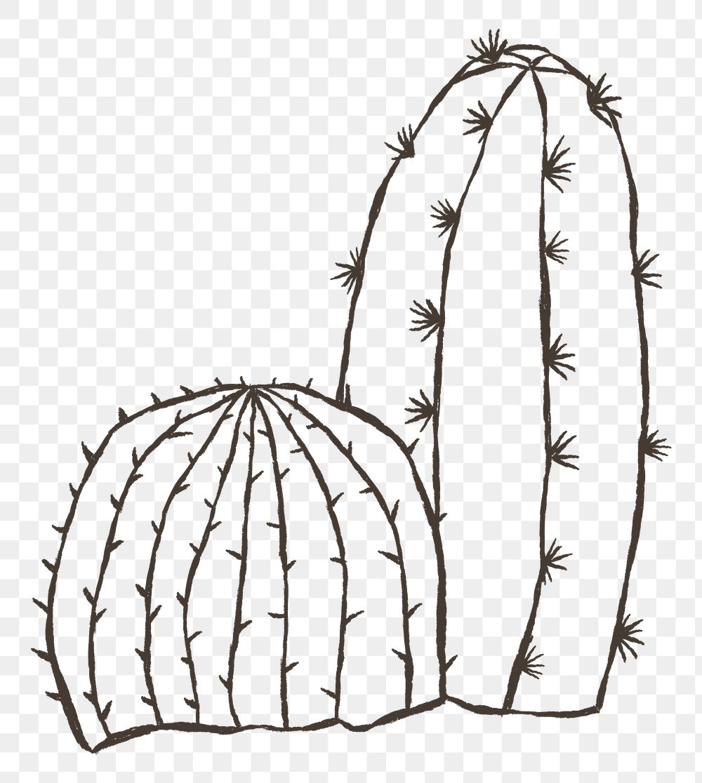 Png doodle cactus in wild west theme