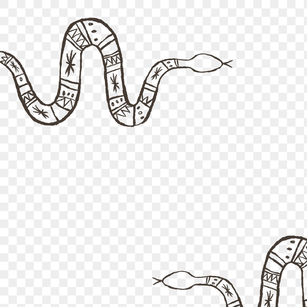 Png snake hand drawn illustration