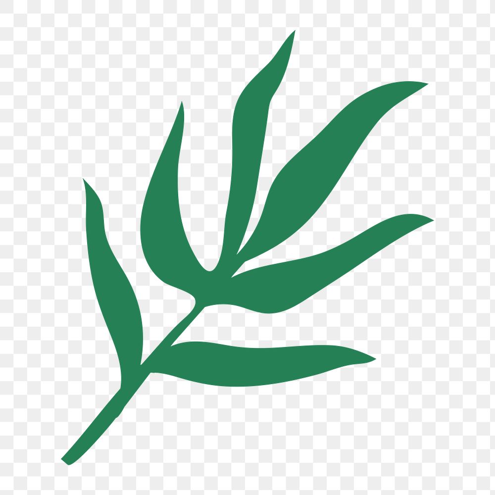 Leaf png sticker in green design element