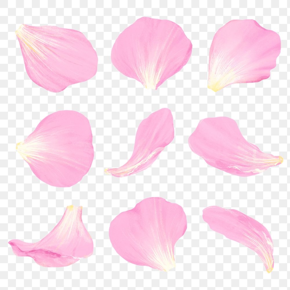 Flower petal png design element set