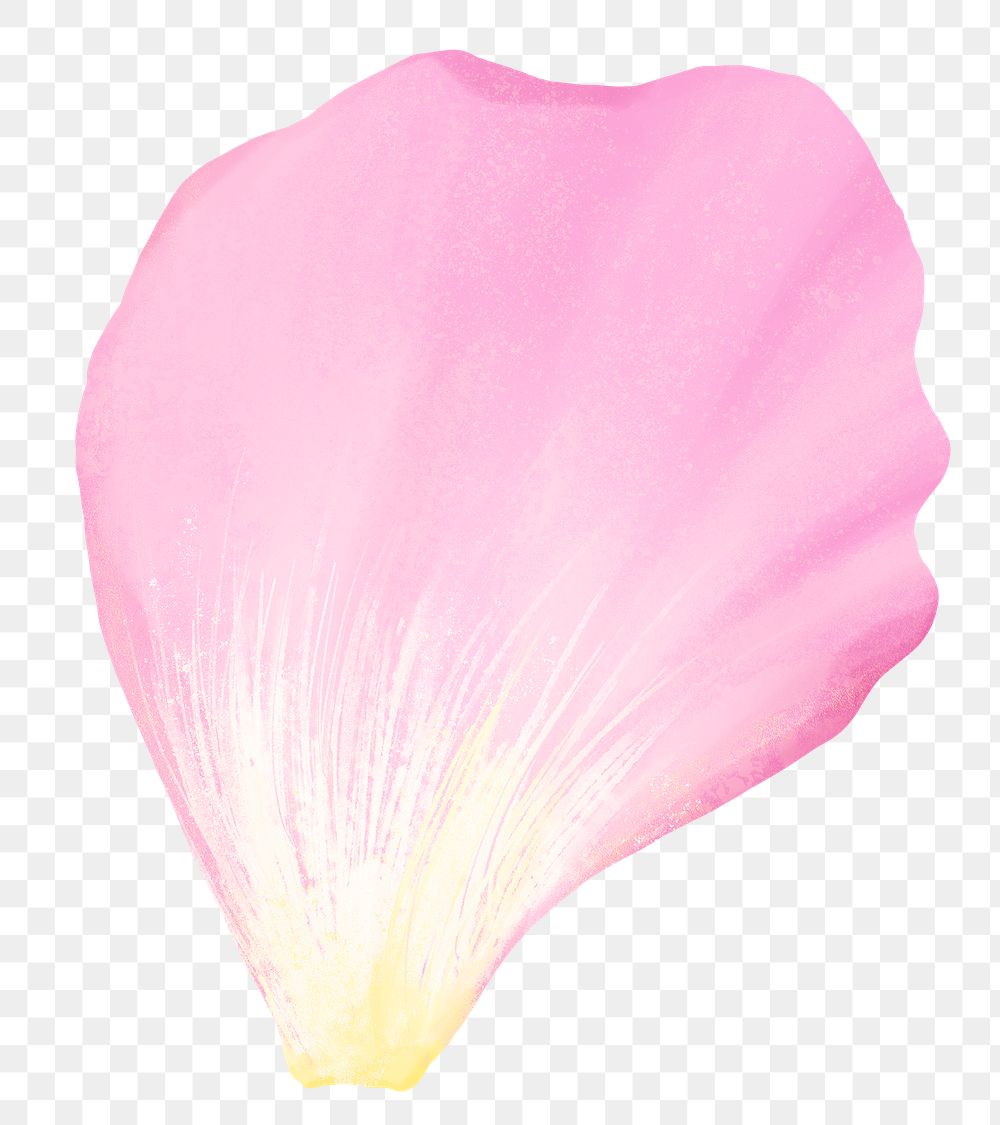 Flower petal png design element