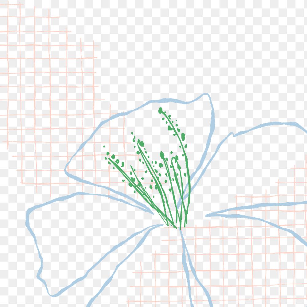 Hibiscus png background aesthetic doodle with grid