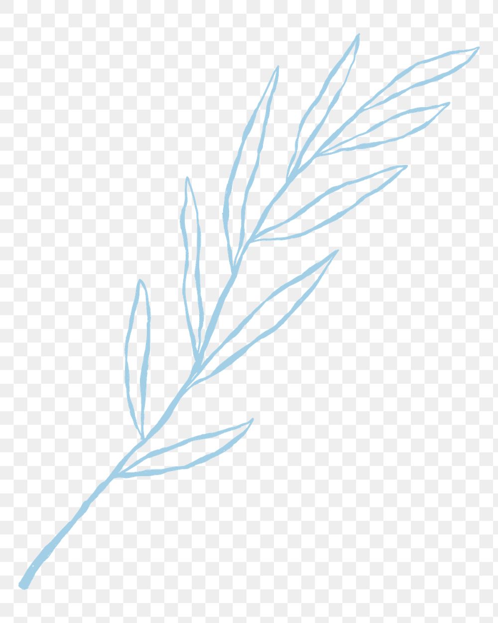 Leaf png cute blue doodle illustration with branch