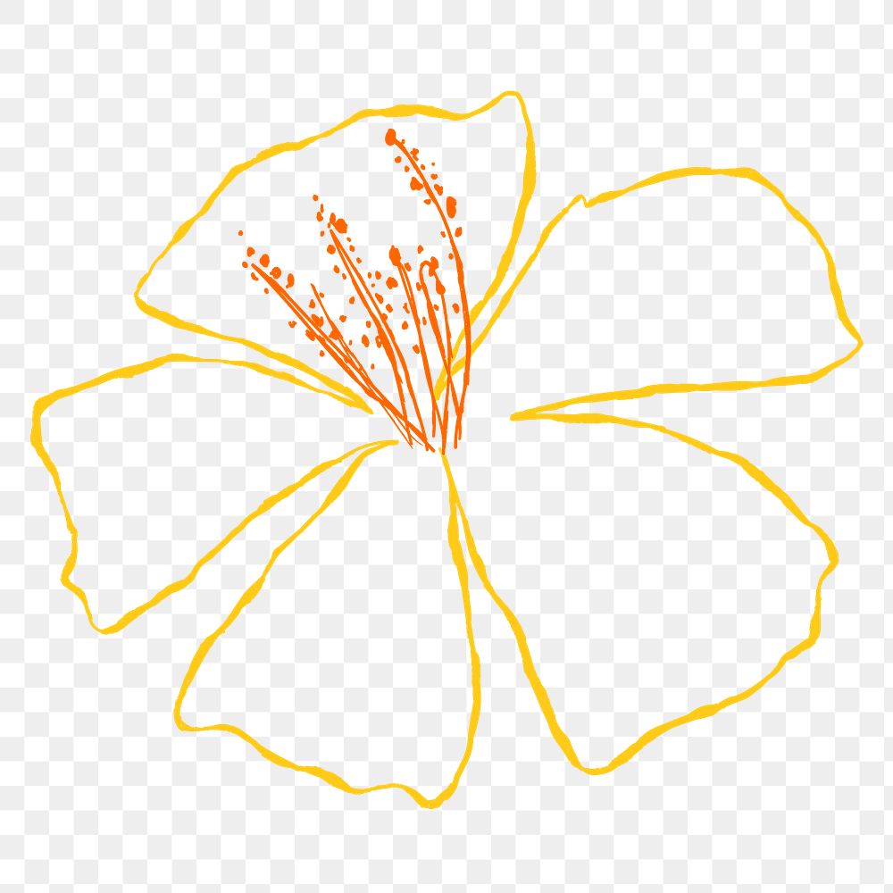 Hibiscus png yellow flower doodle illustration