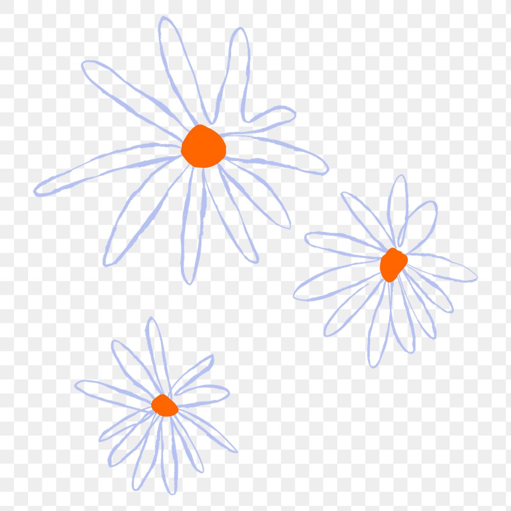 Daisy png blue flower doodle illustration