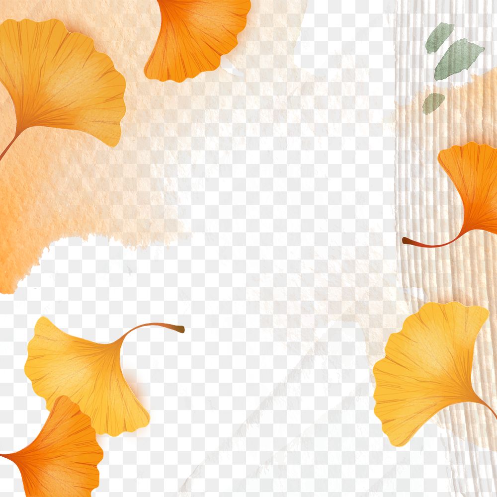 Autumn png transparent background with ginkgo leaves