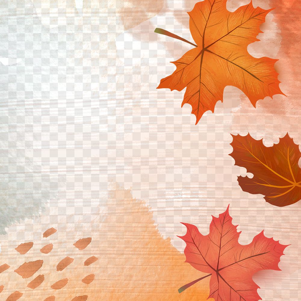 Fall season png transparent background with maple leaves