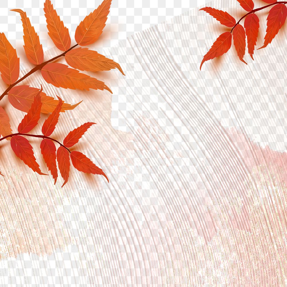 Fall season png transparent background with sumac leaves