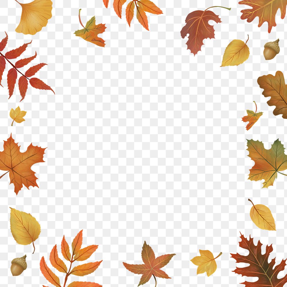 Png autumn leaves frame on transparent background