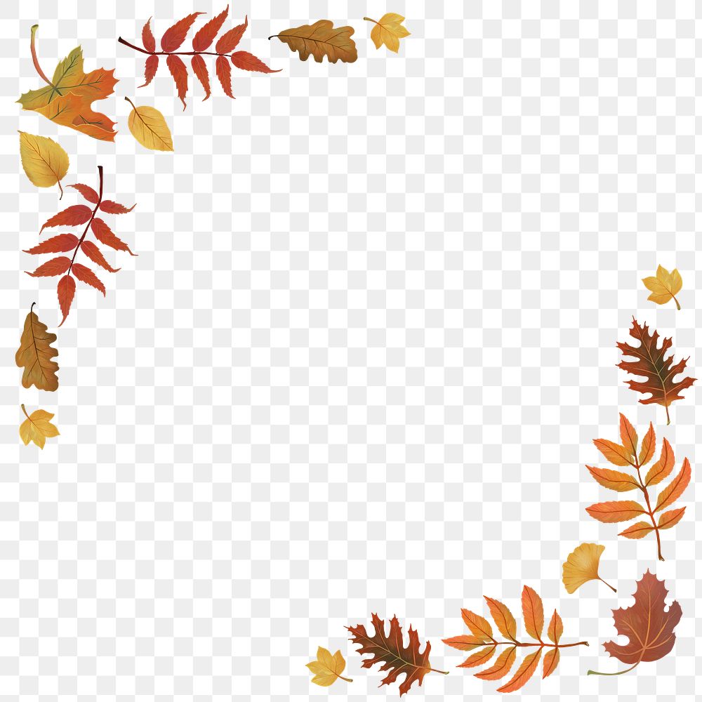 Png autumn leaves frame on transparent background