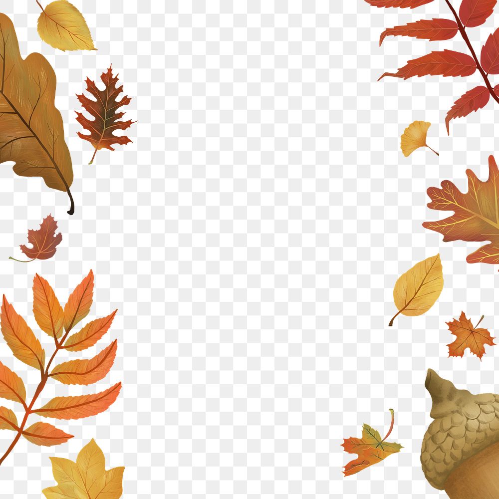 Fall leaves png background transparent