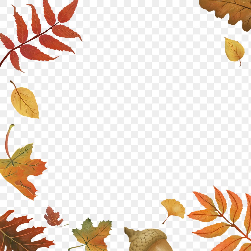 Png fall leaves frame on transparent background