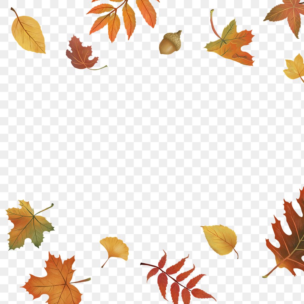 Png autumn leaves frame on transparent background