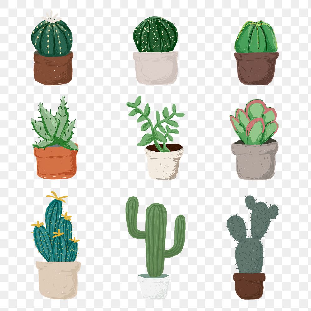 Cute potted plant element png set succulent plants in hand drawn style