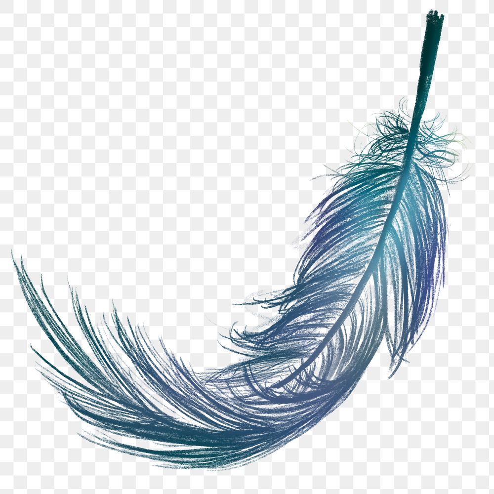 Png blue feather design element
