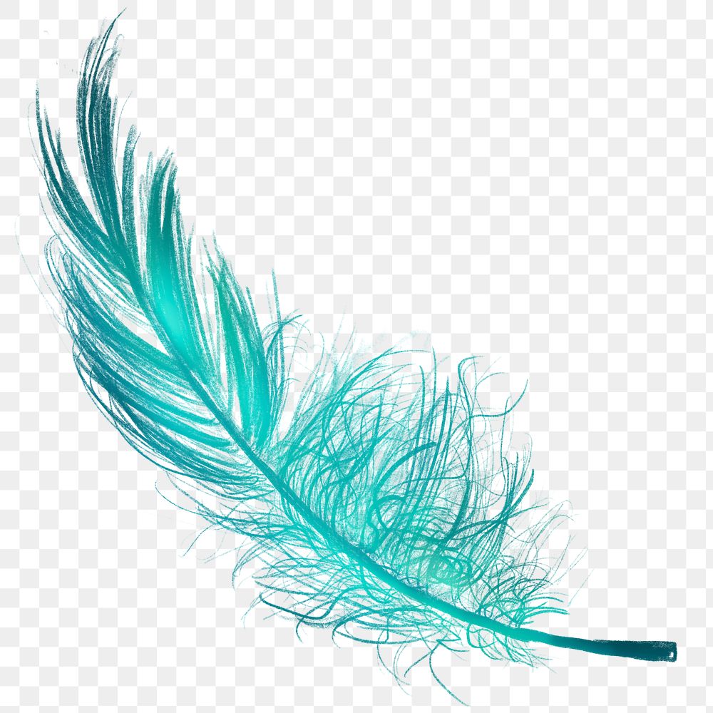 Png green feather design element